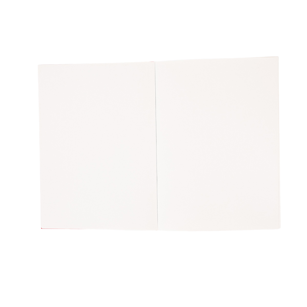 Anime Dungeon Meshi Delicious  - Cosplay Prop Book 评论和价格